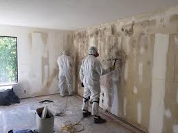 Why You Should Choose Our Mold Remediation Services in Mobile, AL